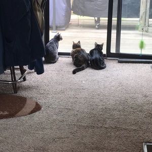 Meet your Posher, Kristian